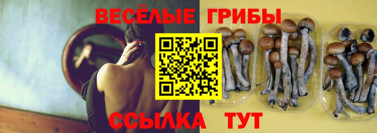 Луга  Галлюциногенные грибы мухоморы  Вход с VPN  Галлюциногенные грибы Psilocybine cubensis 