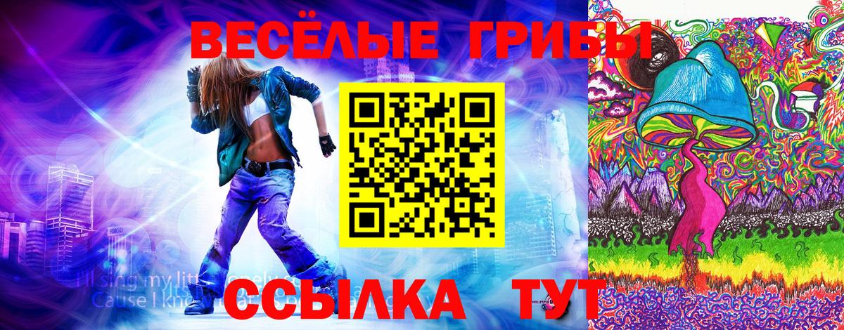 Галлюциногенные грибы Psilocybine cubensis Луга